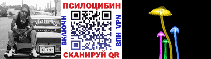 Галлюциногенные грибы Psilocybine cubensis наркошоп Грязовец