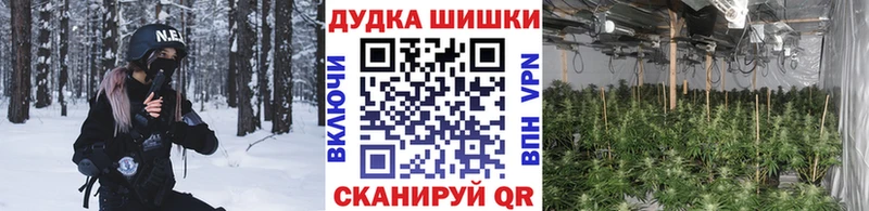 Бошки марихуана сатива  Грязовец 